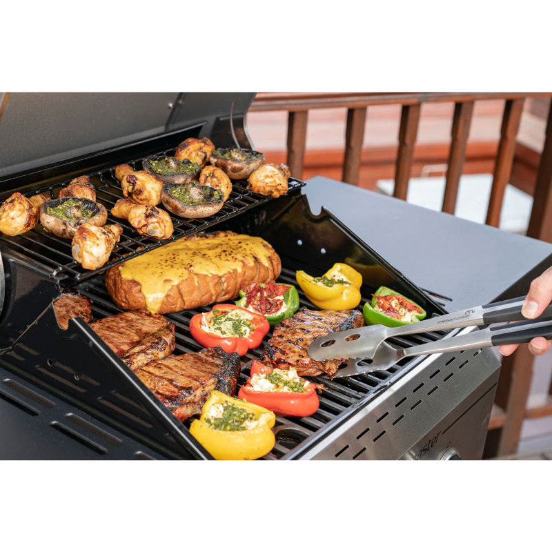Megamaster 2Burner Propane Gas Grill with Side Shelf & Reviews Wayfair